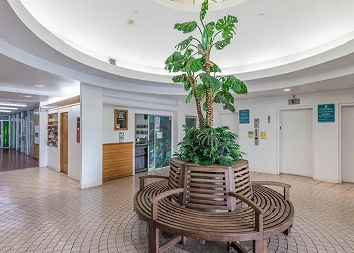 Waikiki Condo -18F